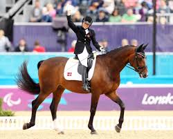 Equestrian Paralympics 2024: A Triumph of Skill and Spirit